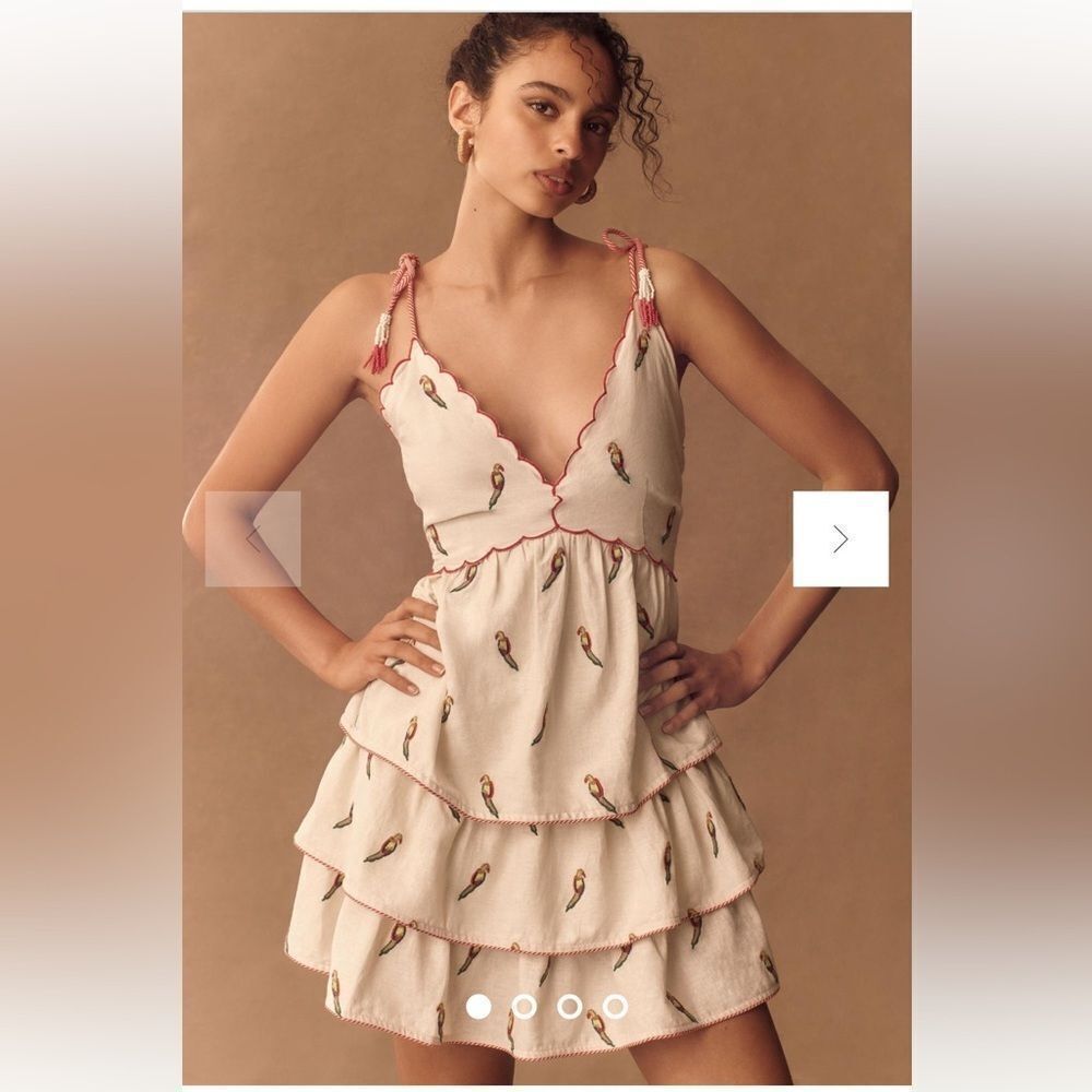 Farm Rio Large by Anthropologie Farm Rio Sleeveless Linen Tiered Mini Dress